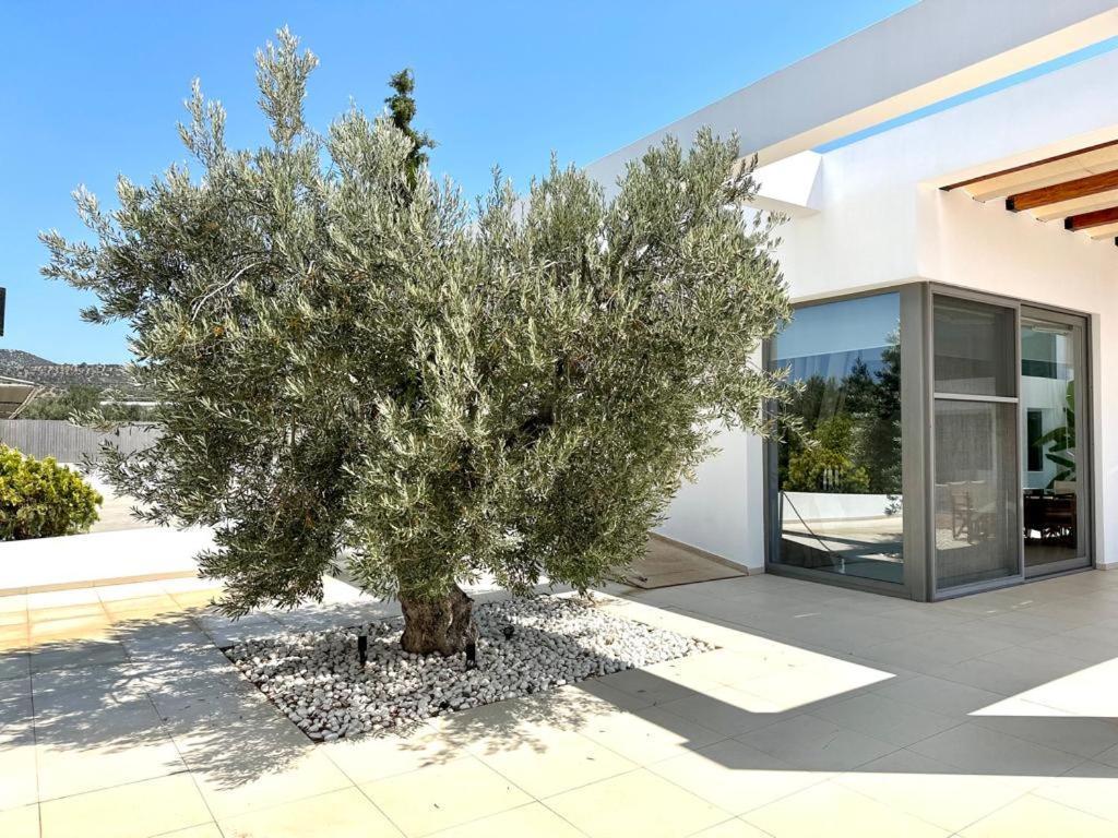 Leblanc Luxurious Beachfront Villa, Gcollectiongr Ermióni Eksteriør bilde